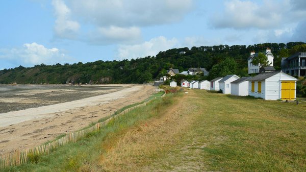 Quels sont les meilleurs spots pour une immersion culturelle chez les tribus Himba en Namibie : visites et expéditions ?